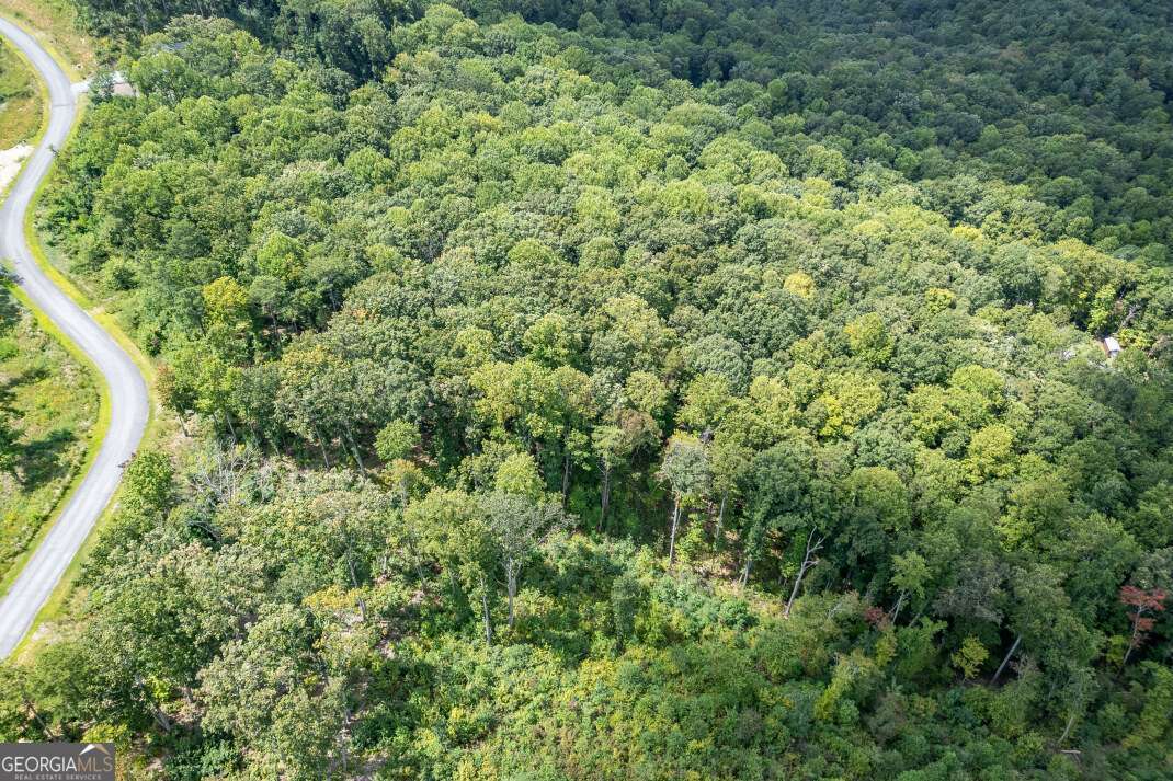 Lot 112 Twisted Oak Road Talking Rock, GA 30175 - Photo 31 of 45