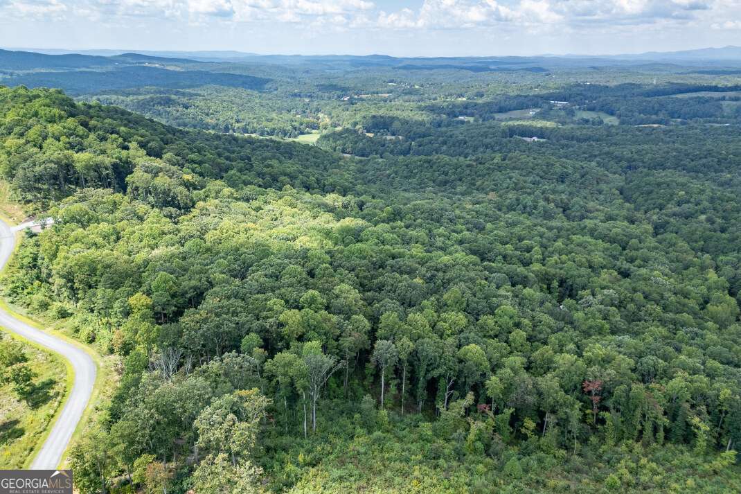 Lot 112 Twisted Oak Road Talking Rock, GA 30175 - Photo 32 of 45 a view of a green yard with an trees