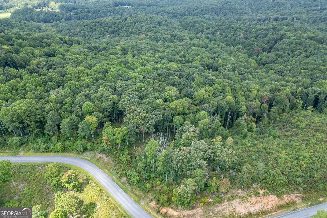 Lot 112 Twisted Oak Road Talking Rock, GA 30175 - Photo 33 of 45 a view of a swimming pool from a balcony