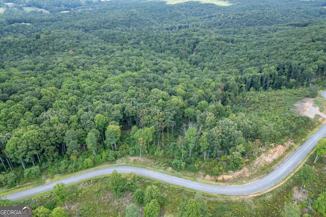 Lot 112 Twisted Oak Road Talking Rock, GA 30175 - Photo 35 of 45 a view of a back yard