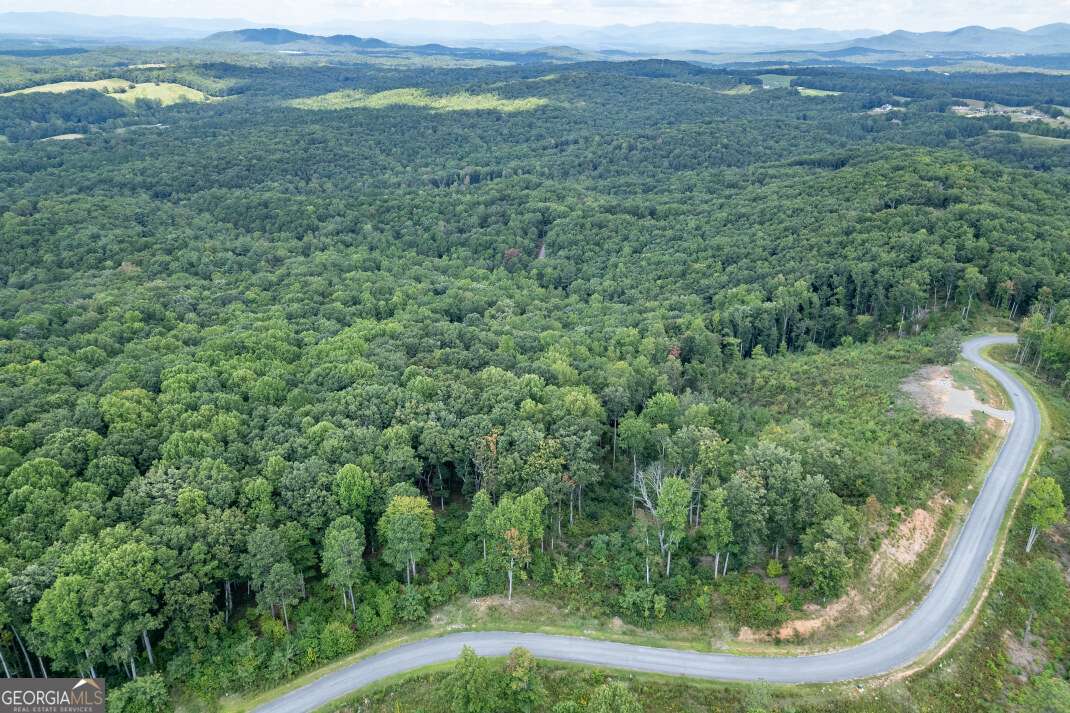 Lot 112 Twisted Oak Road Talking Rock, GA 30175 - Photo 37 of 45 a view of a outdoor space with a mountain