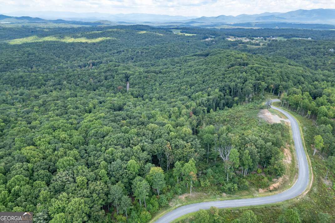 Lot 112 Twisted Oak Road Talking Rock, GA 30175 - Photo 38 of 45 a view of a lush green forest with trees and grass