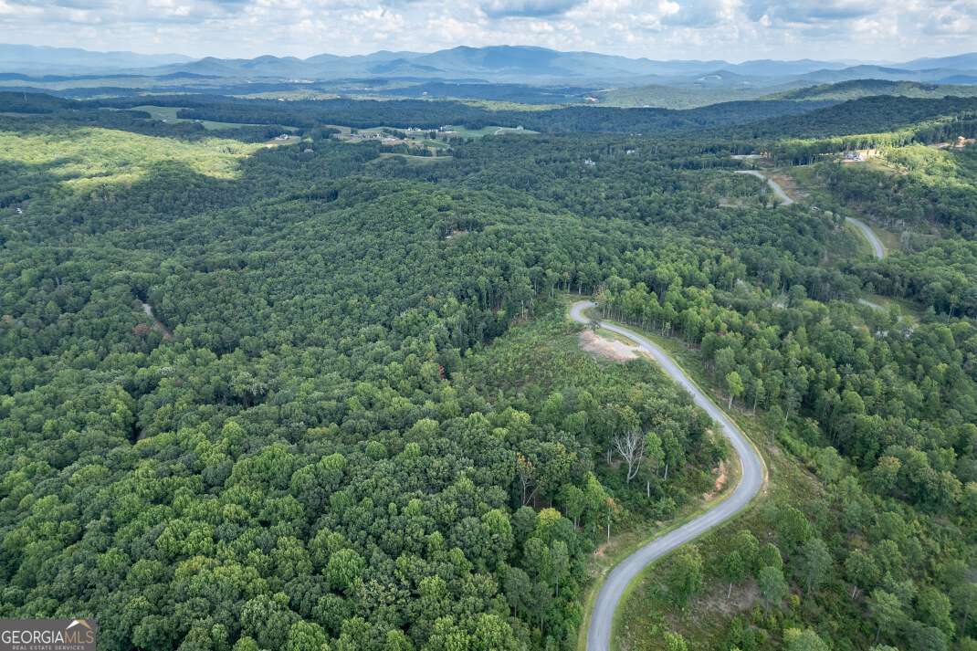 Lot 112 Twisted Oak Road Talking Rock, GA 30175 - Photo 39 of 45 a view of outdoor space and mountain view