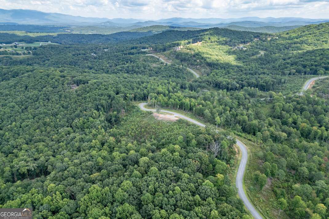 Lot 112 Twisted Oak Road Talking Rock, GA 30175 - Photo 40 of 45 a view of a lush green forest with trees and some houses