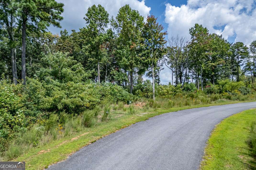 Lot 112 Twisted Oak Road Talking Rock, GA 30175 - Photo 4 of 45 a view of a garden with a pathway