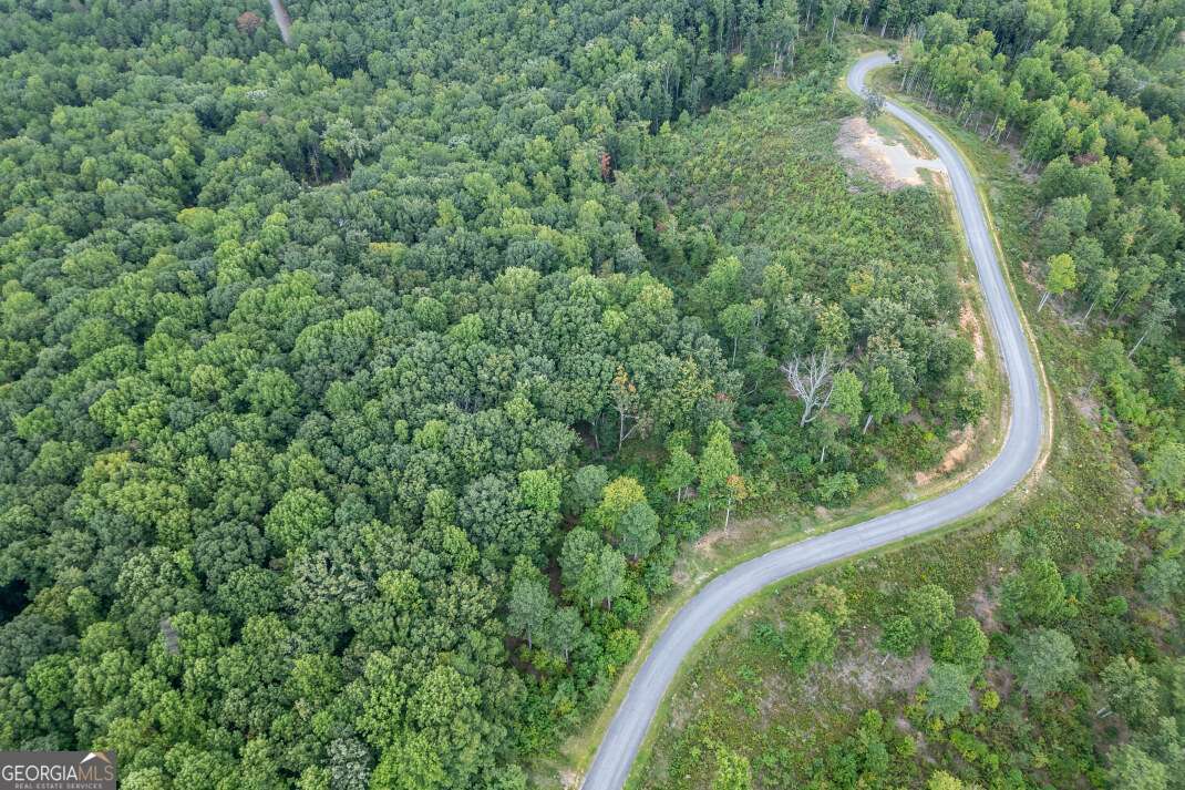 Lot 112 Twisted Oak Road Talking Rock, GA 30175 - Photo 41 of 45