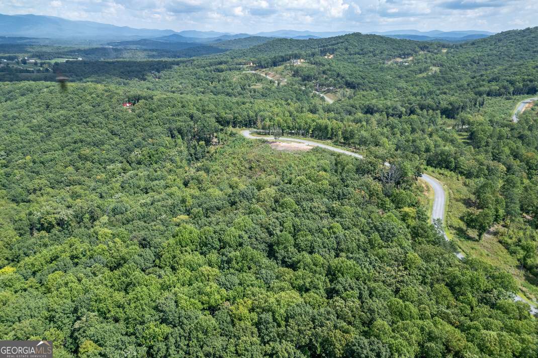 Lot 112 Twisted Oak Road Talking Rock, GA 30175 - Photo 42 of 45 a view of a lush green forest with trees and some houses
