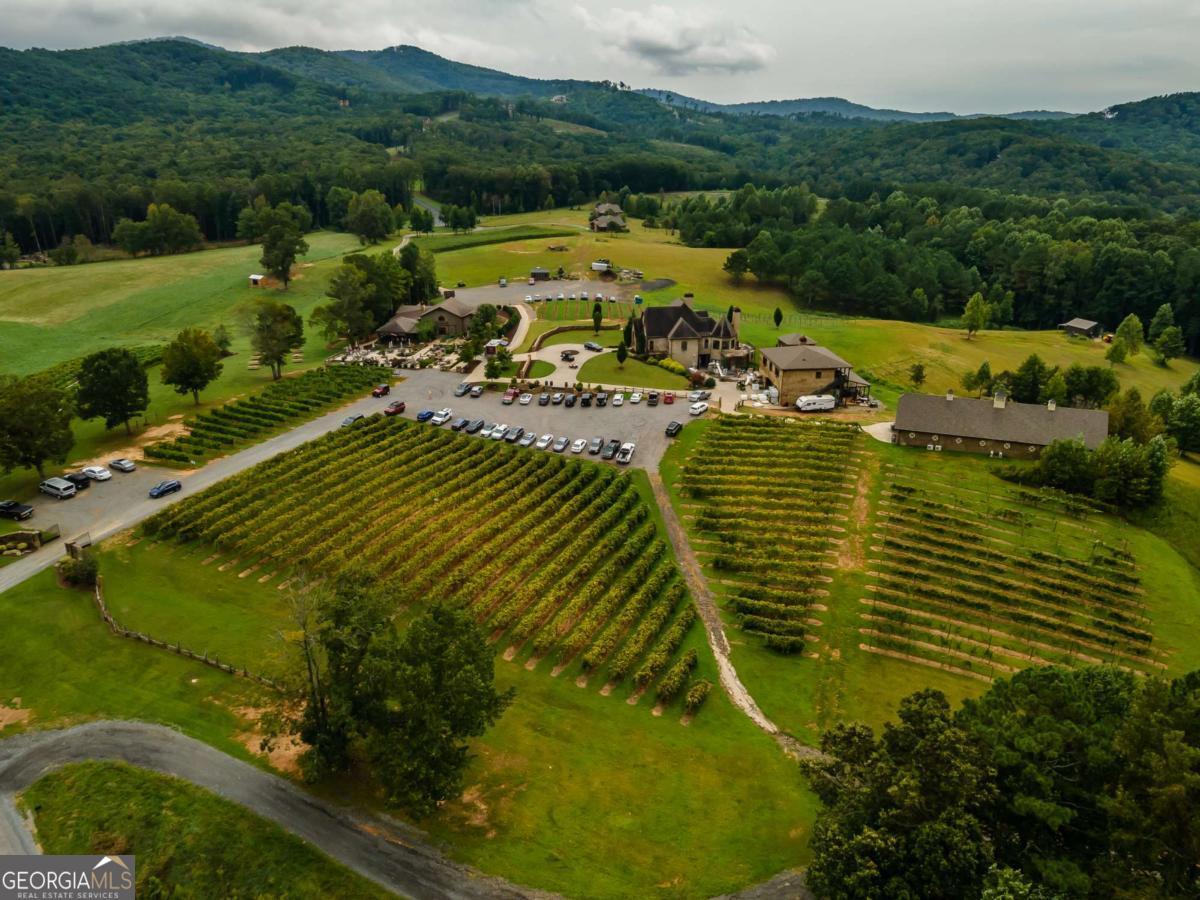 Lot 112 Twisted Oak Road Talking Rock, GA 30175 - Photo 44 of 45 a view of a lake with a yard