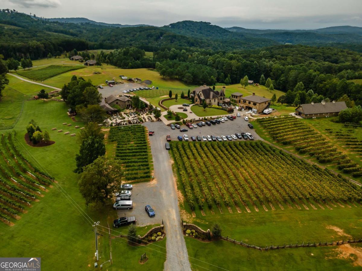 Lot 112 Twisted Oak Road Talking Rock, GA 30175 - Photo 45 of 45 a view of a lake with a yard