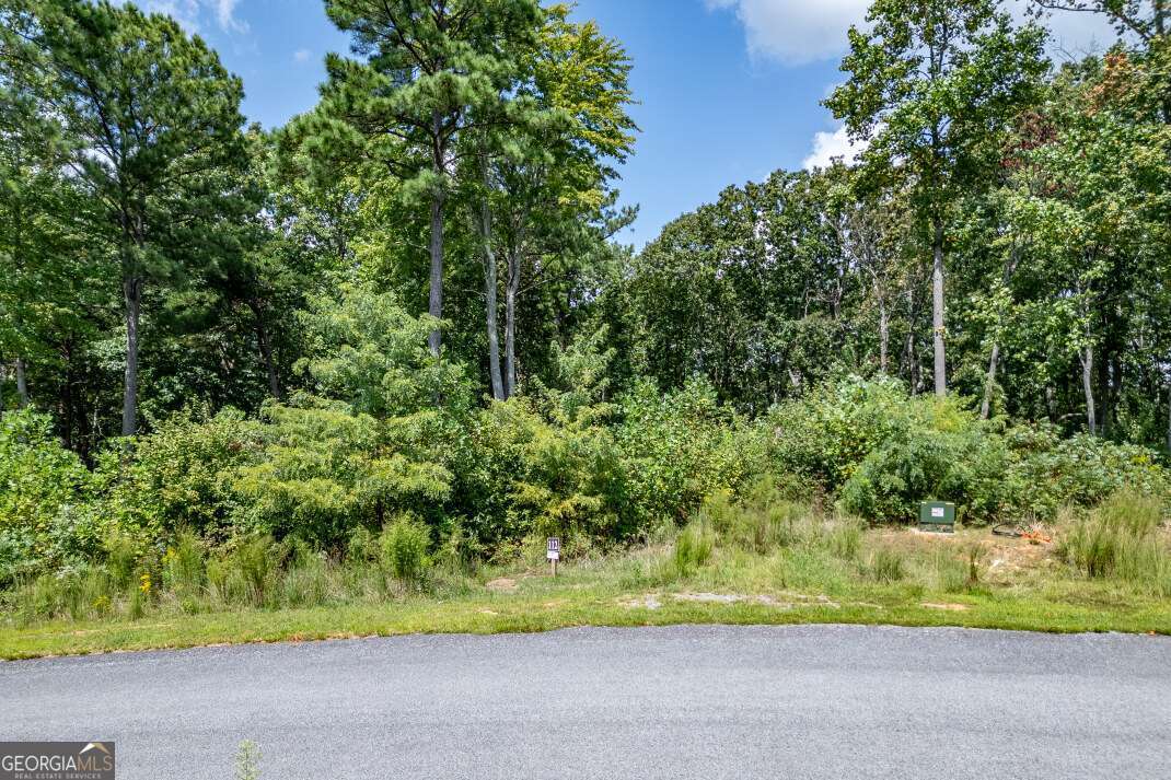 Lot 112 Twisted Oak Road Talking Rock, GA 30175 - Photo 5 of 45 a view of park and trees
