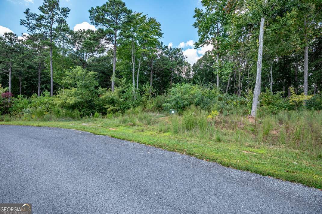 Lot 112 Twisted Oak Road Talking Rock, GA 30175 - Photo 6 of 45 a view of a yard with a trees