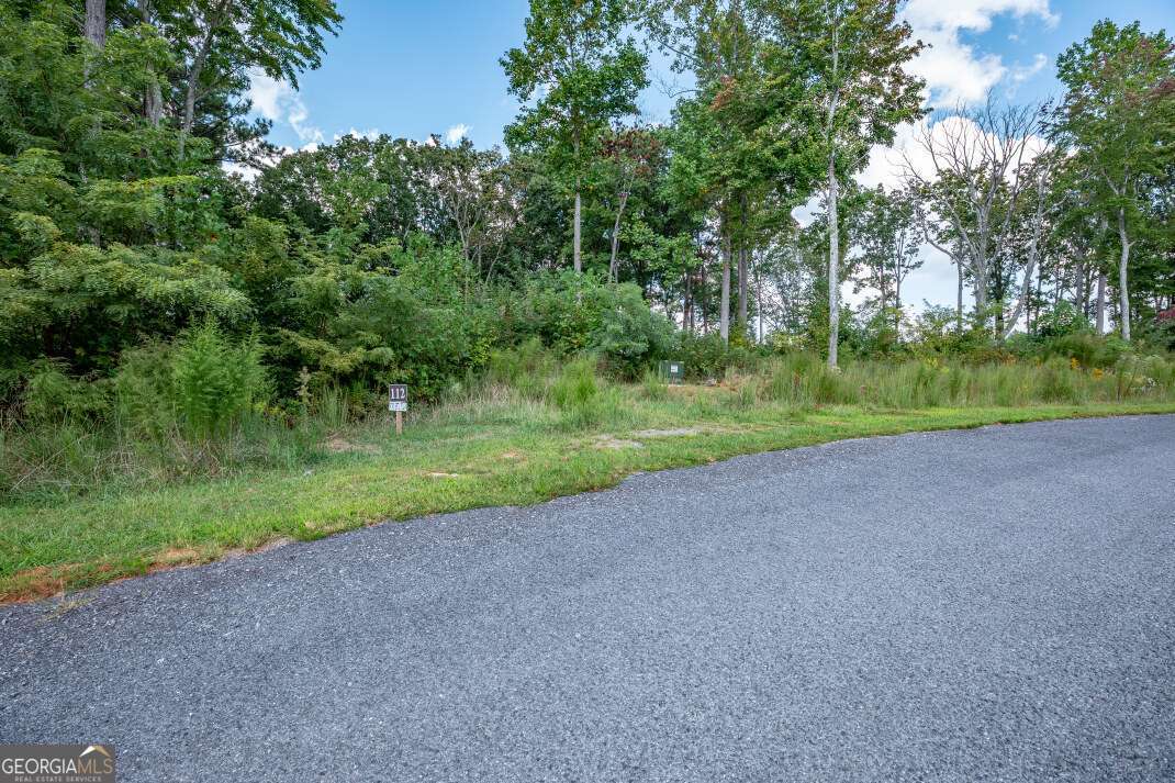 Lot 112 Twisted Oak Road Talking Rock, GA 30175 - Photo 7 of 45 a view of outdoor space and yard