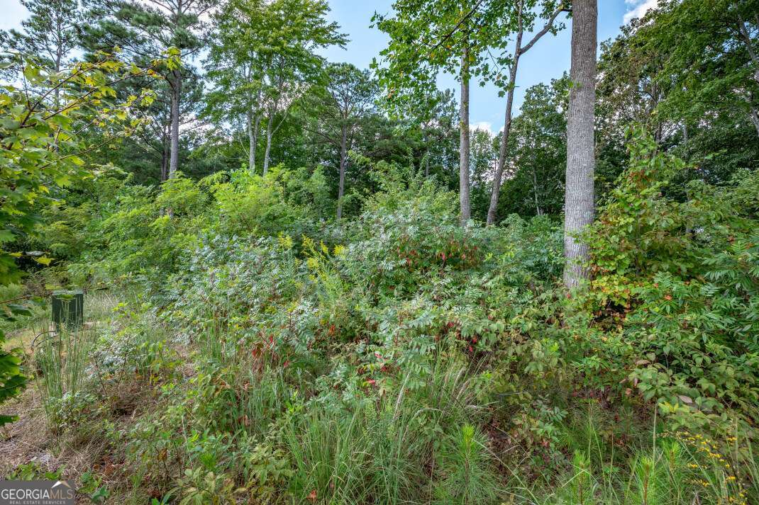 Lot 112 Twisted Oak Road Talking Rock, GA 30175 - Photo 8 of 45 a view of a lush green forest