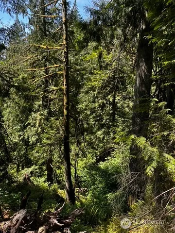 a view of outdoor space and covered with trees