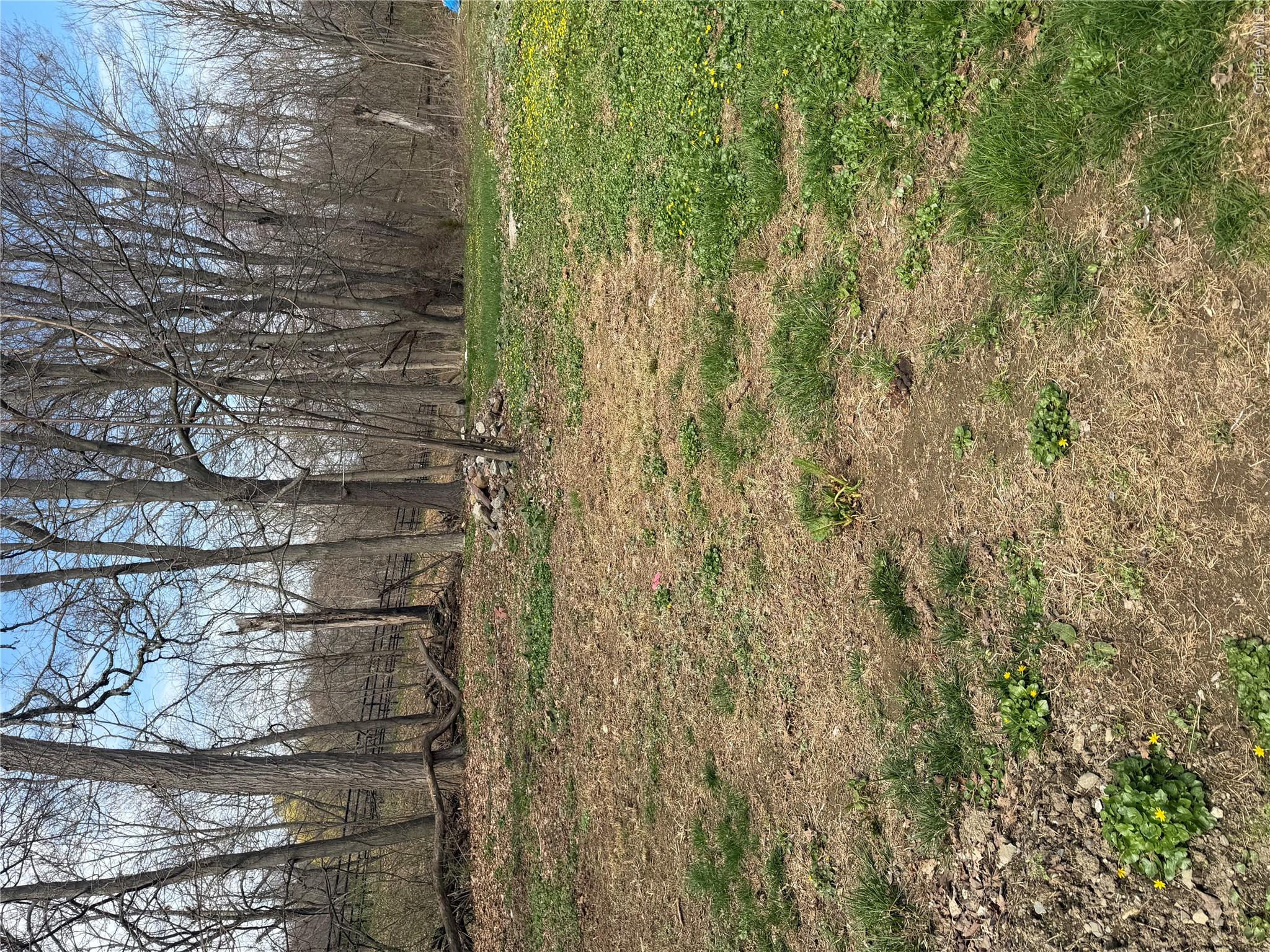 261 Titusville Road Poughkeepsie, NY 12603 - Photo 14 of 14