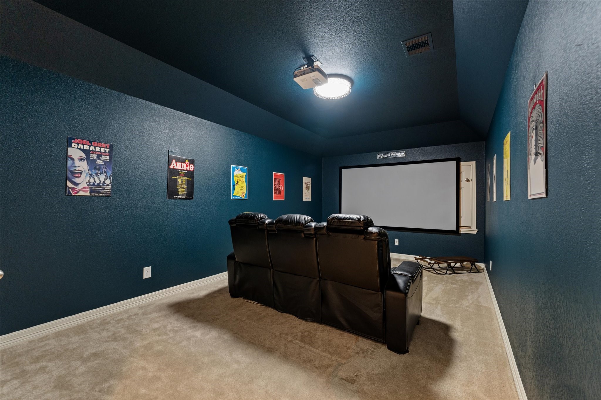 13302 Rising Bluff Lane Cypress, TX 77429 - Photo 16 of 38 Media room