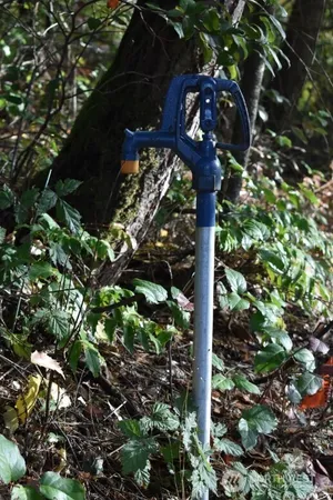 $205,750 | 3413 West Tapps Drive East, Lake Tapps, WA 98391