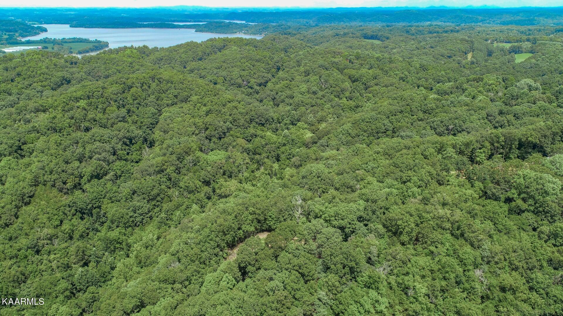191 Thurman Road Newport, TN 37821 - Photo 16 of 25 13