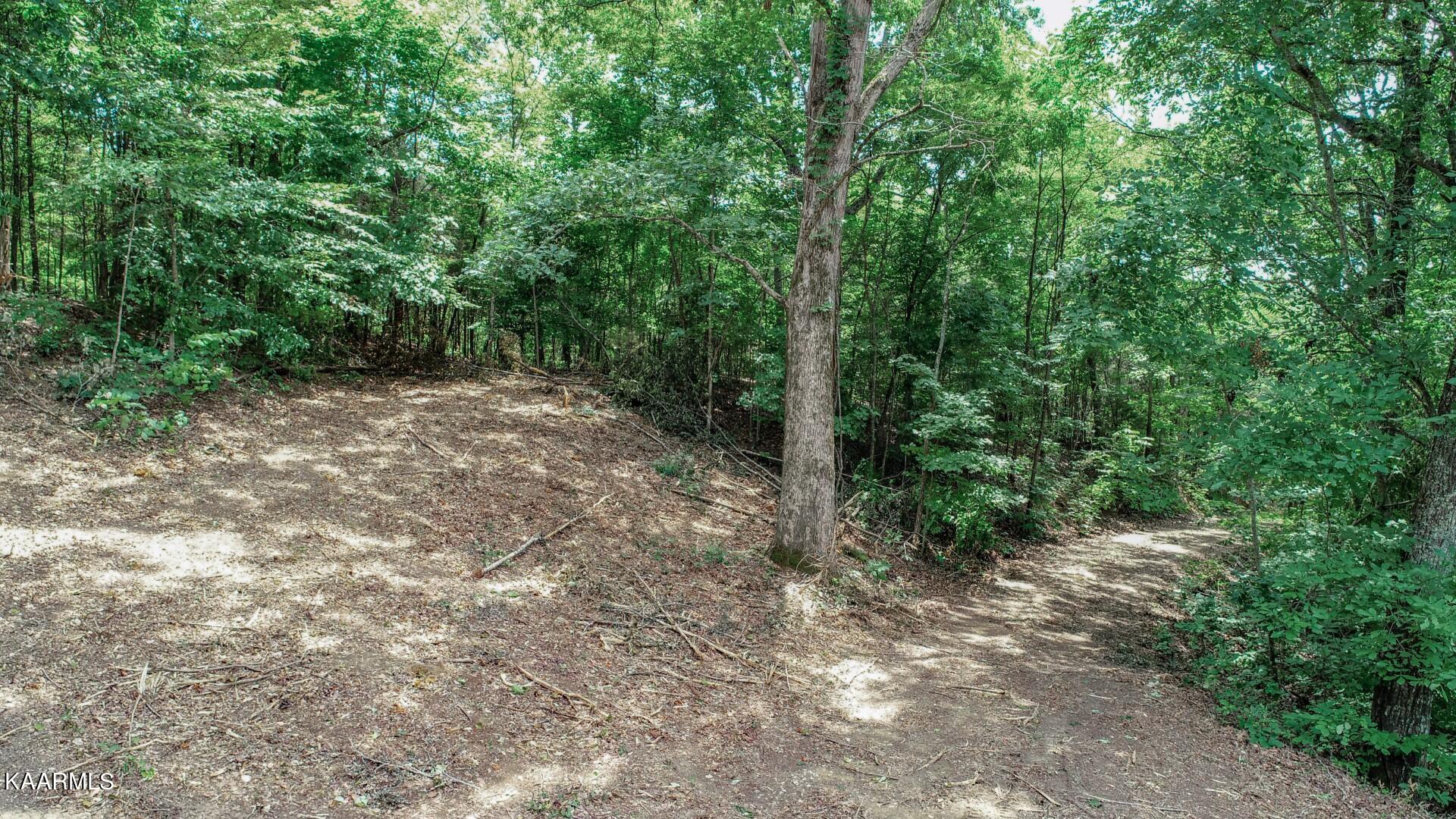 191 Thurman Road Newport, TN 37821 - Photo 18 of 25 15