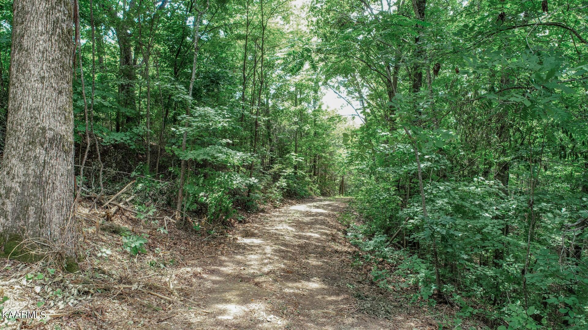 191 Thurman Road Newport, TN 37821 - Photo 19 of 25 16