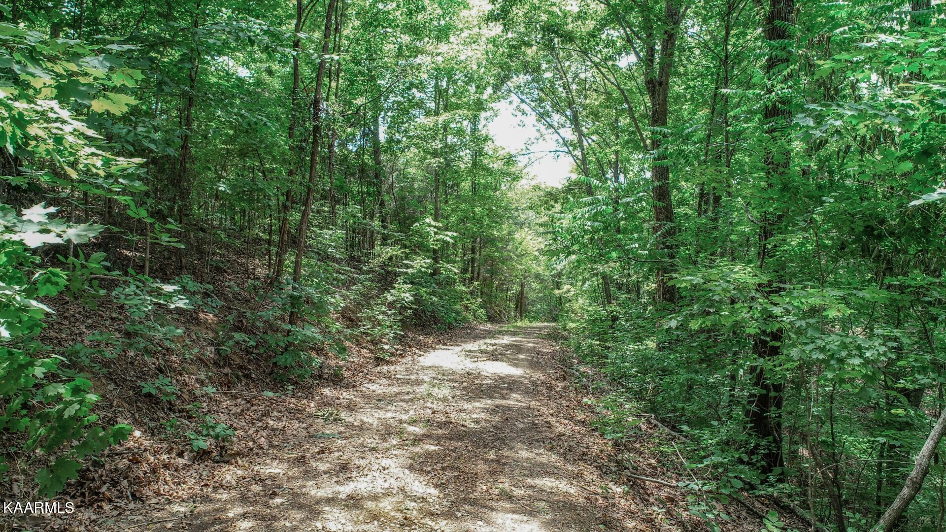 191 Thurman Road Newport, TN 37821 - Photo 20 of 25 17
