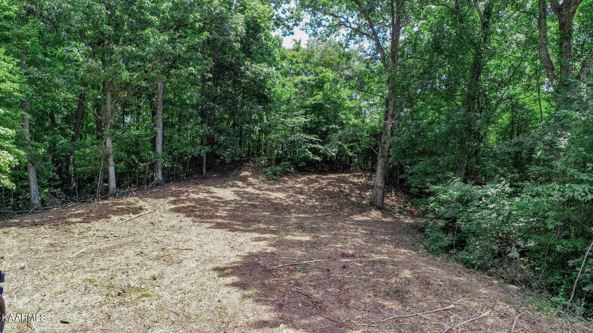 191 Thurman Road Newport, TN 37821 - Photo 21 of 25 18