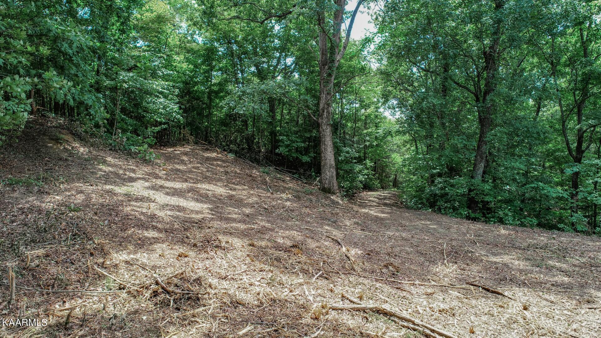 191 Thurman Road Newport, TN 37821 - Photo 24 of 25 21