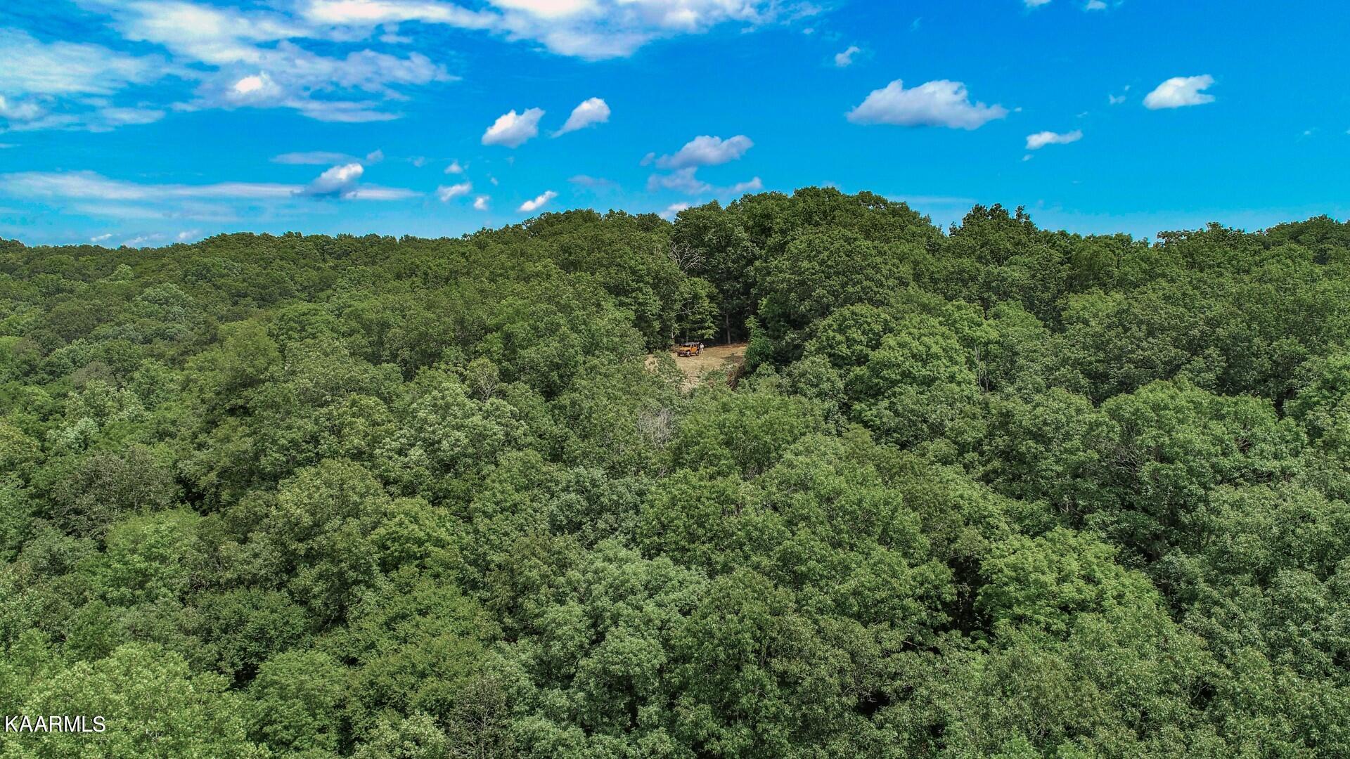191 Thurman Road Newport, TN 37821 - Photo 4 of 25 2