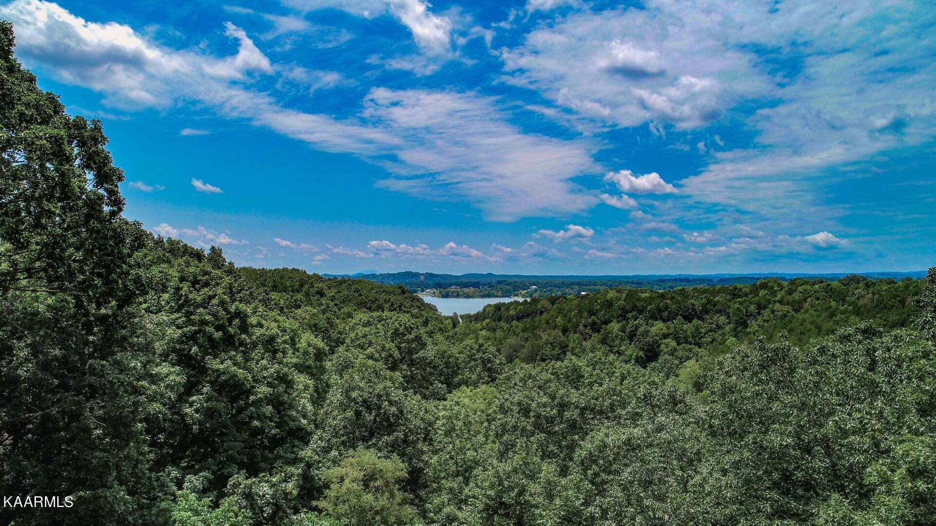 191 Thurman Road Newport, TN 37821 - Photo 8 of 25 6.6