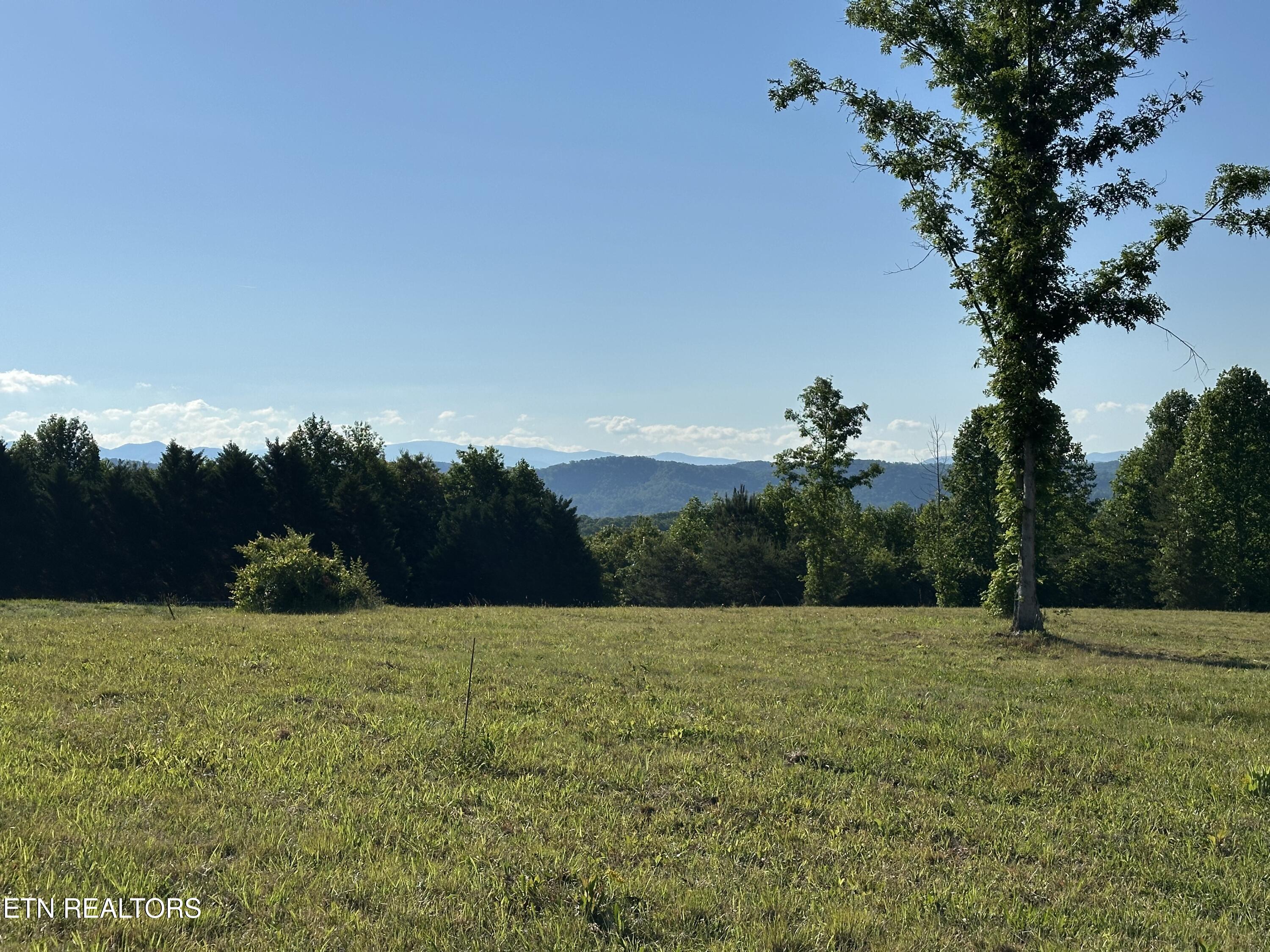 7 Curtis Road Tellico Plains, TN 37385 - Photo 10 of 18 IMG_9403