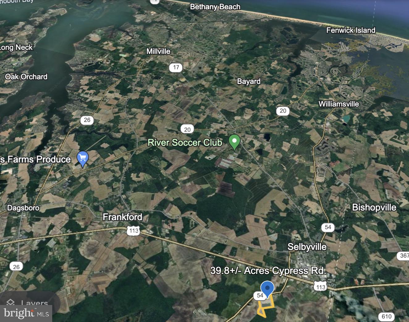 0 Cypress Road Selbyville, DE 19975 - Photo 2 of 4 a picture of tree