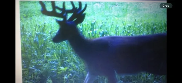 $125,000 | 0 Iceman Road, Unit LOT 3, Sparta, WI 54656