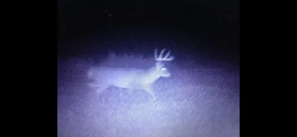 $125,000 | 0 Iceman Road, Unit LOT 3, Sparta, WI 54656