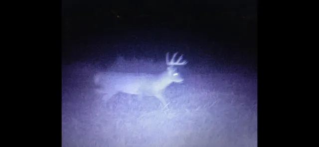 $125,000 | 0 Iceman Road, Unit LOT 3, Sparta, WI 54656