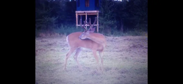 $125,000 | 0 Iceman Road, Unit LOT 3, Sparta, WI 54656