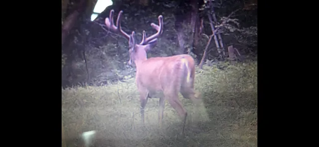 $125,000 | 0 Iceman Road, Unit LOT 3, Sparta, WI 54656