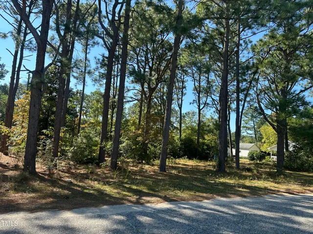 $8,500 | 0 Maple Avenue, Hamlet, NC 28345