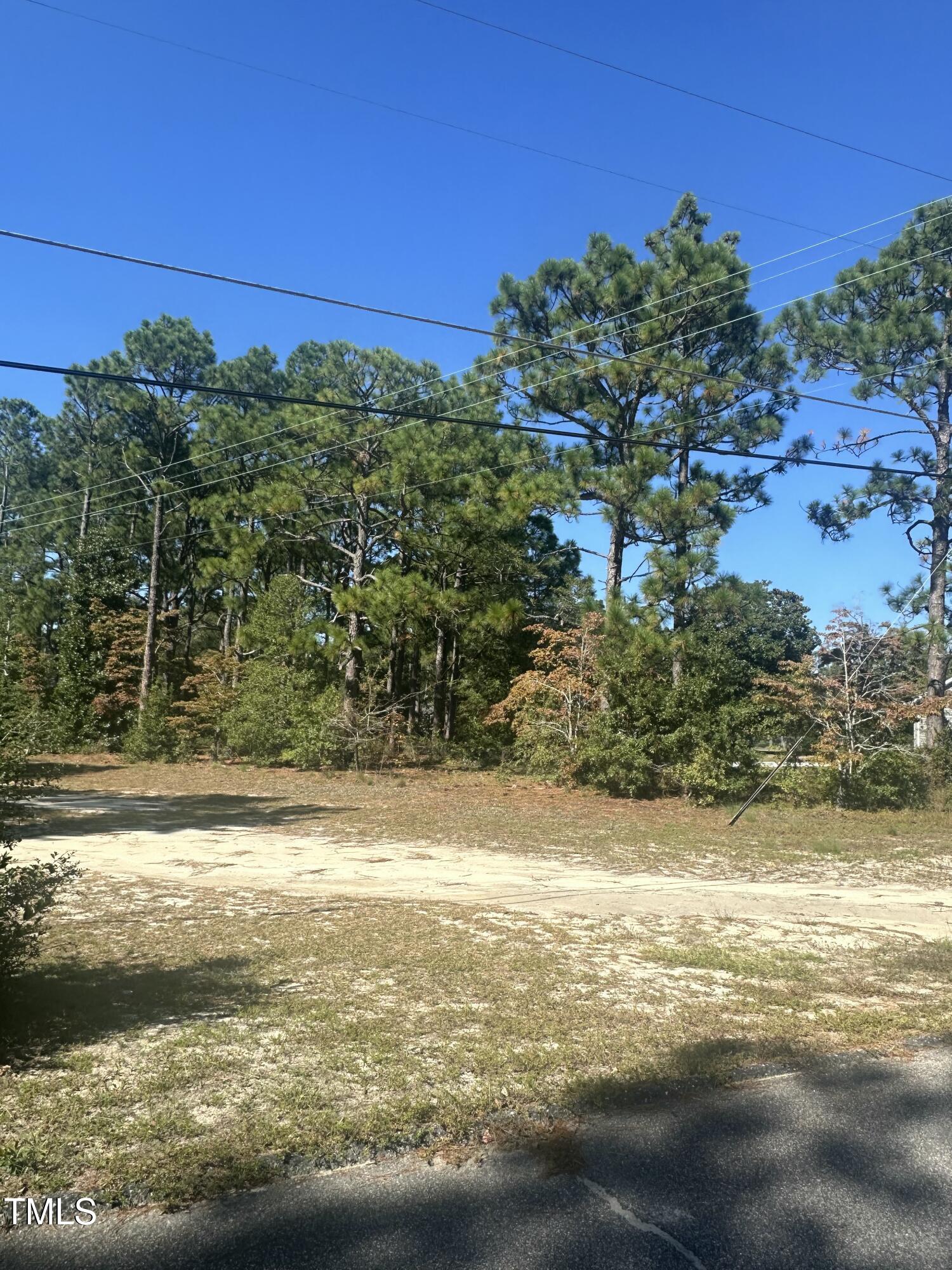 0 Maple Avenue Hamlet, NC 28345 - Photo 4 of 6 Lot View 3