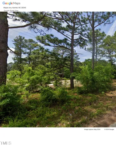 $8,500 | 0 Maple Avenue, Hamlet, NC 28345