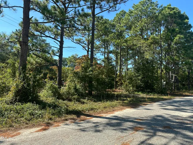 $8,500 | 0 Maple Avenue, Hamlet, NC 28345