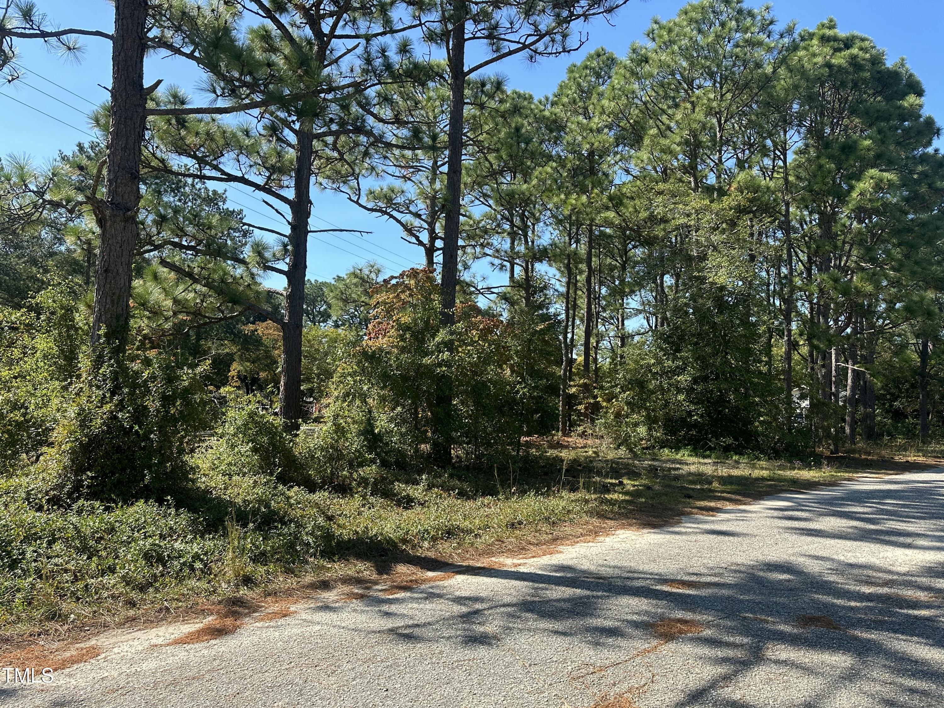 0 Maple Avenue Hamlet, NC 28345 - Photo 6 of 6 IMG_0890
