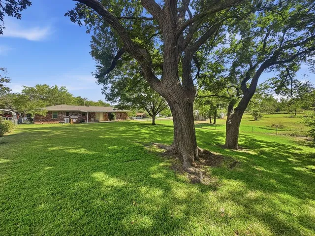 a view of outdoor space with deck and tree