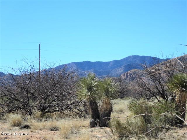 2.18-ac North Desert Road, Unit 1&2 Pearce, AZ 85625 - Photo 3 of 17