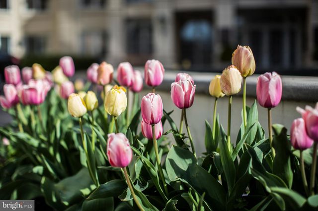 $750,000 | 5 Park Place, Unit 522, Annapolis, MD 21401