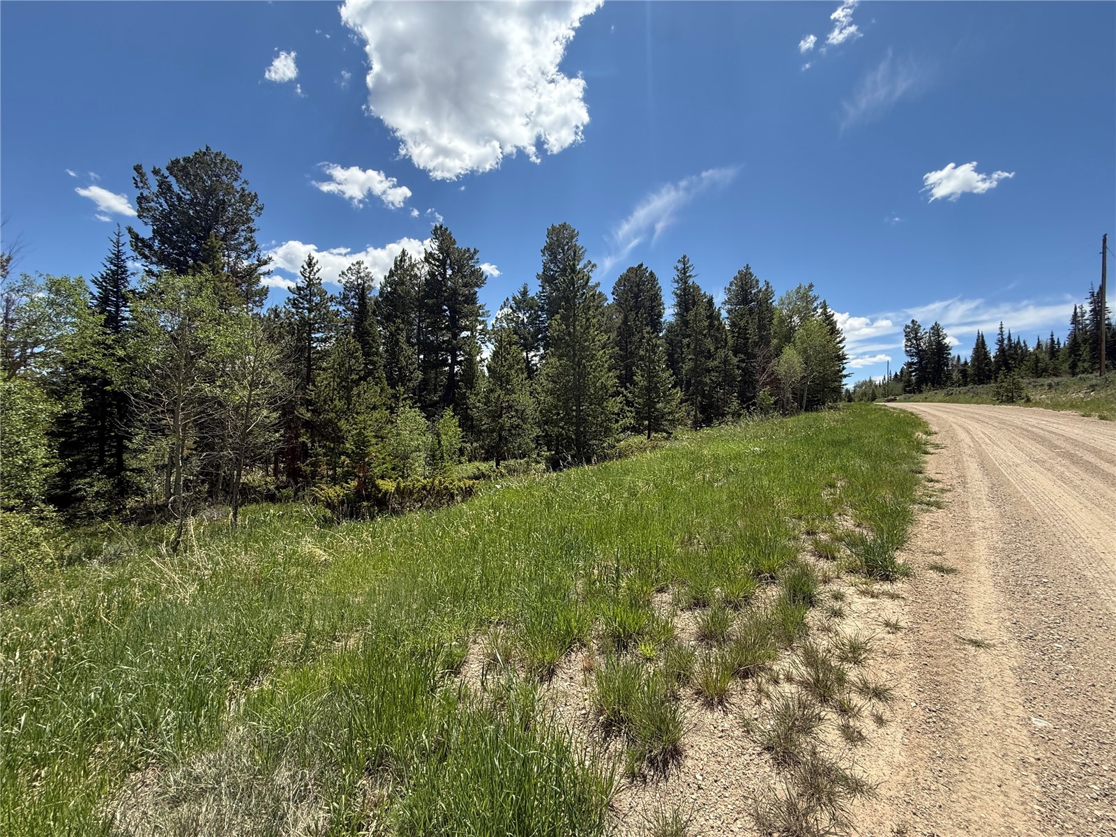 Tbd Spring Creek Ranch Road Silverthorne, CO 80498 - Photo 7 of 48