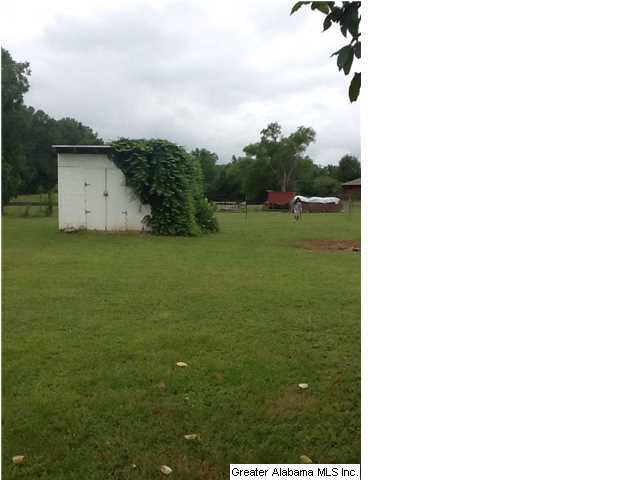5387 McIntosh Road Oxford, AL 36203 - Photo 14 of 16 Gallery Image 14
