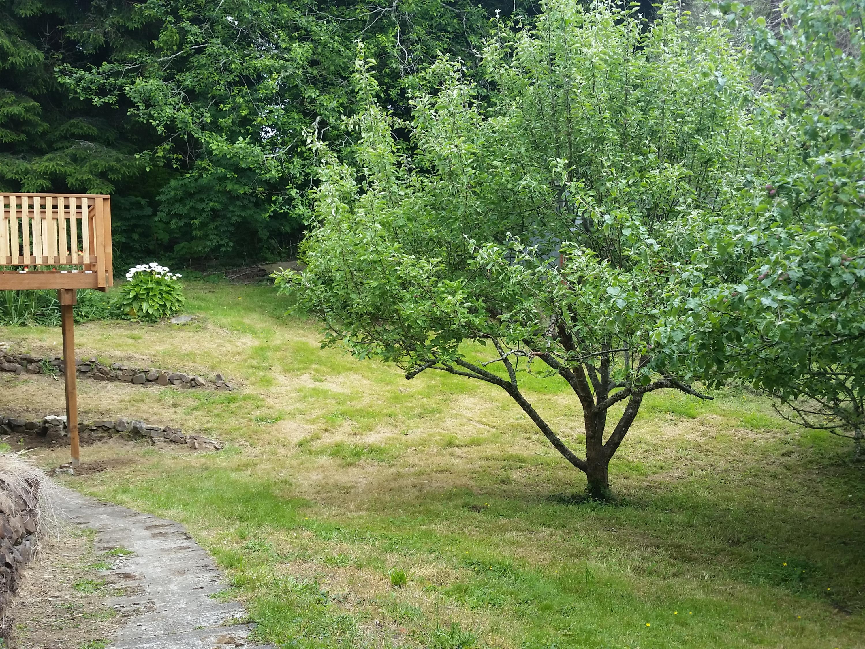 4595 Alder Cove Road West Tillamook, OR 97141 - Photo 26 of 29 20160526_162941