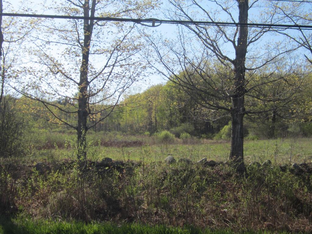 1050 Eureka Road Springfield, VT 05156 - Photo 1 of 7