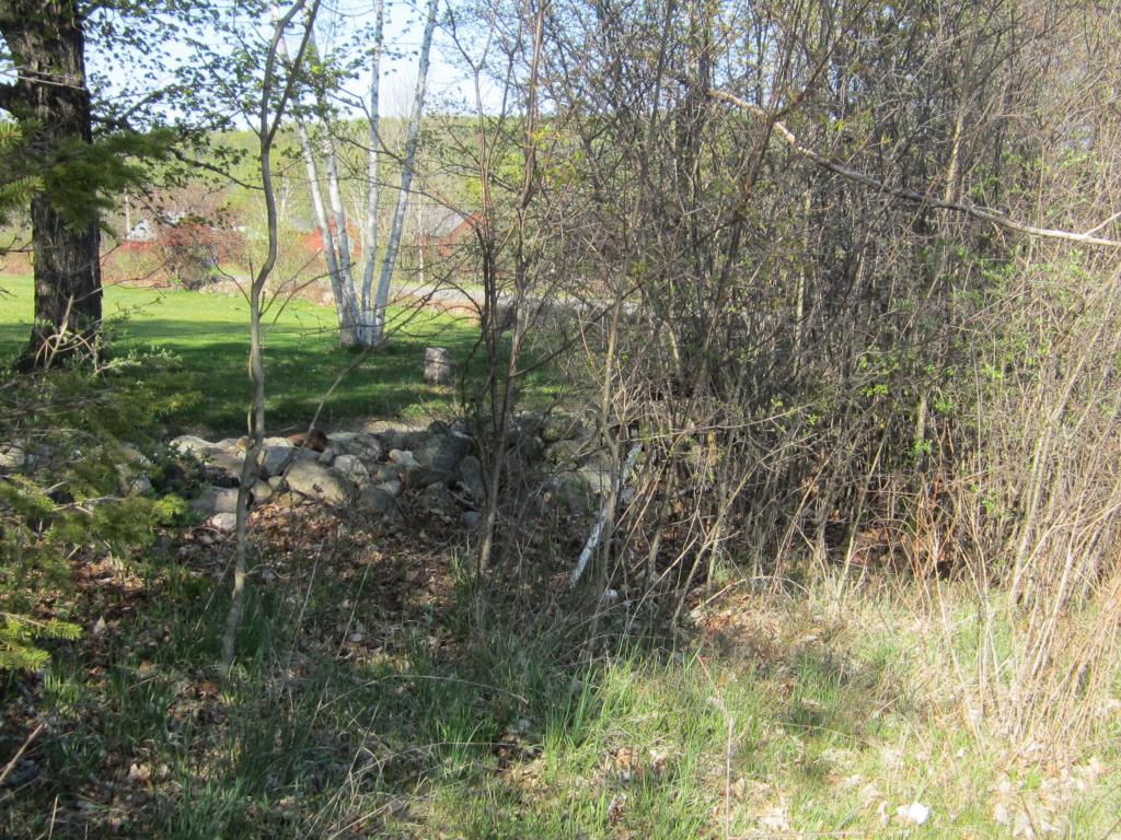 1050 Eureka Road Springfield, VT 05156 - Photo 4 of 7