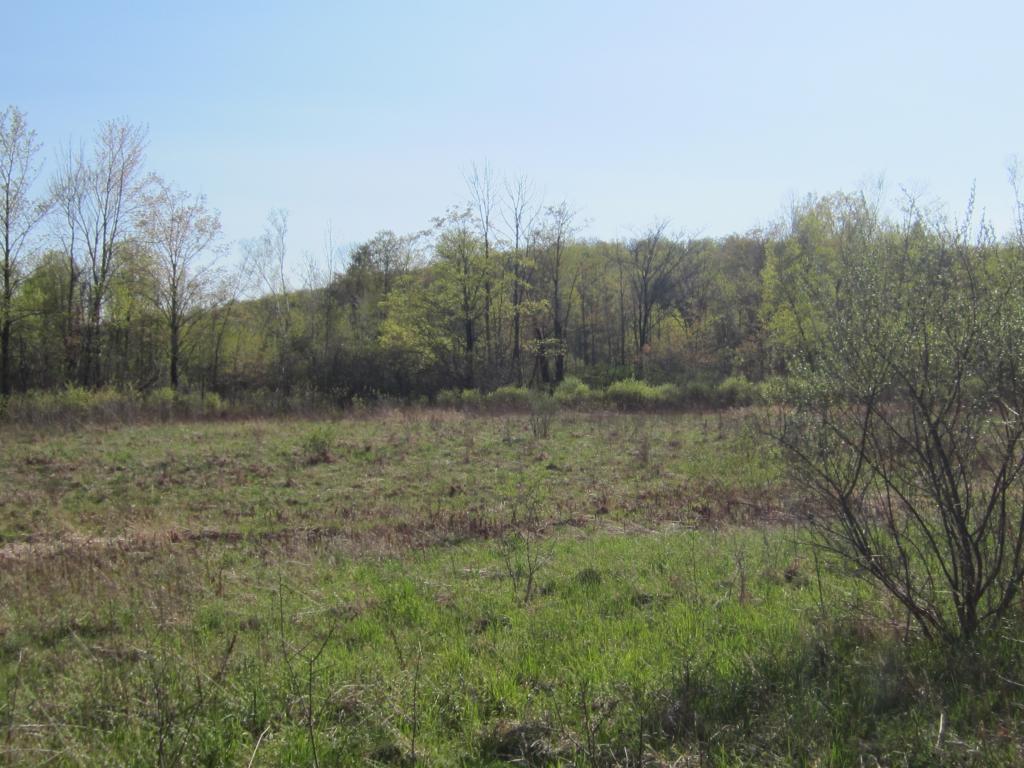 1050 Eureka Road Springfield, VT 05156 - Photo 5 of 7